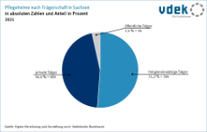 Basisdaten Sachsen Pflegeheime stationäre Trägerschaft