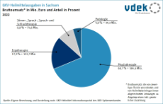Basisdaten Sachsen Heilmittel Leistungserbringer GKV Ausgaben Bruttoumsatz