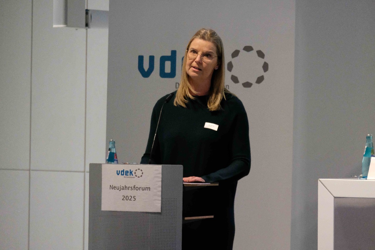 vdek Neujahrsforum Sachsen 2025 Podium Klima Klimawandel Gesundheit Silke Heinke