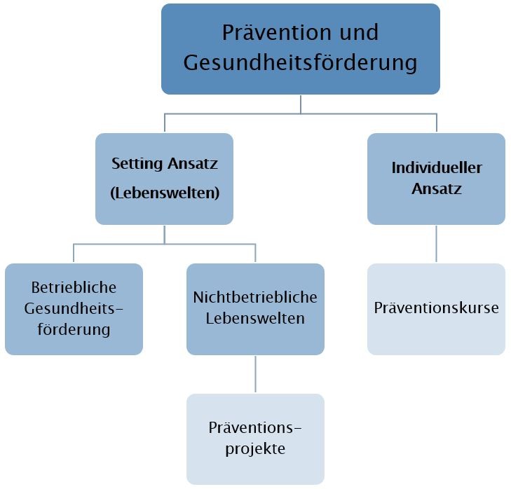 Grafik Prävention und Gesundheitsförderung, Hierarchie von "Prävention und Gesundheitsförderung" in Blautönen. Aufgliederung links in "Setting Ansatz (Lebenswelten)", Unteraufgliederung in "Betriebliche Gesundheitsförderung" sowie "Nichtbetriebliche Lebenswelten" mit Unterpunkt "Präventionsprojekte". Aufgliederung rechts in "Individueller Ansatz" mit Unterpunkt "Präventionskurse"