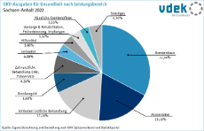GKV-Ausgaben für Gesundheit nach Leistungsbereich in Sachsen-Anhalt 2022