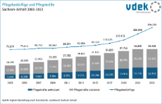 Pflegebedürftige und Pflegekräfte Sachsen-Anhalt