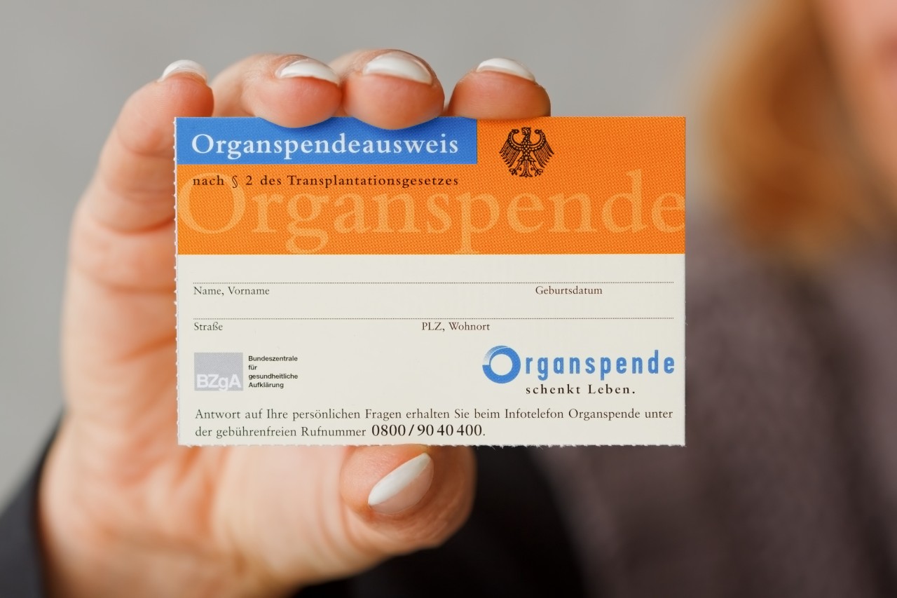 Eine Frau hält einen Organspendeausweis in die Kamera Eine Frau hält einen Organspendeausweis in die Kamera