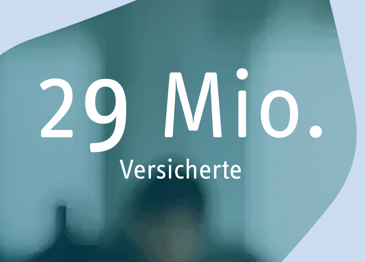 Fakten-Kachel mit dem Text: „29 Mio. Versicherte“