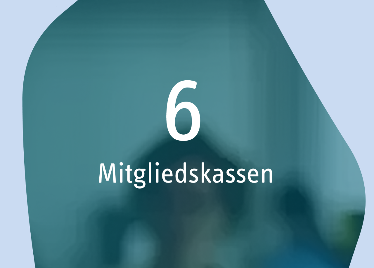 Fakten-Kachel mit dem Text: „6 Mitgliedskassen“