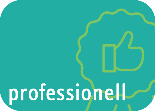 Werte-Kachel mit dem Wort: „professionell“