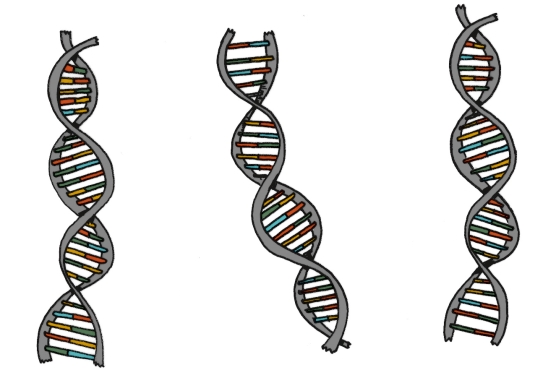 Illustration: Drei DNA-Stränge