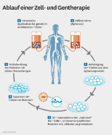 Infografik: Ablauf einer Zell- und Gentherapie