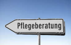 Pflegeberatung, Wegweiser