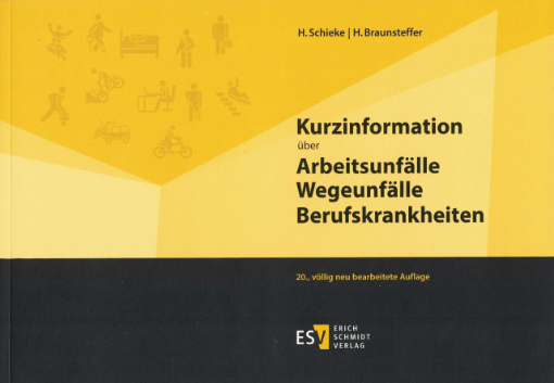 Buchcover: Kurzinformation über Arbeitsunfälle... Buchcover: Kurzinformation über Arbeitsunfälle...