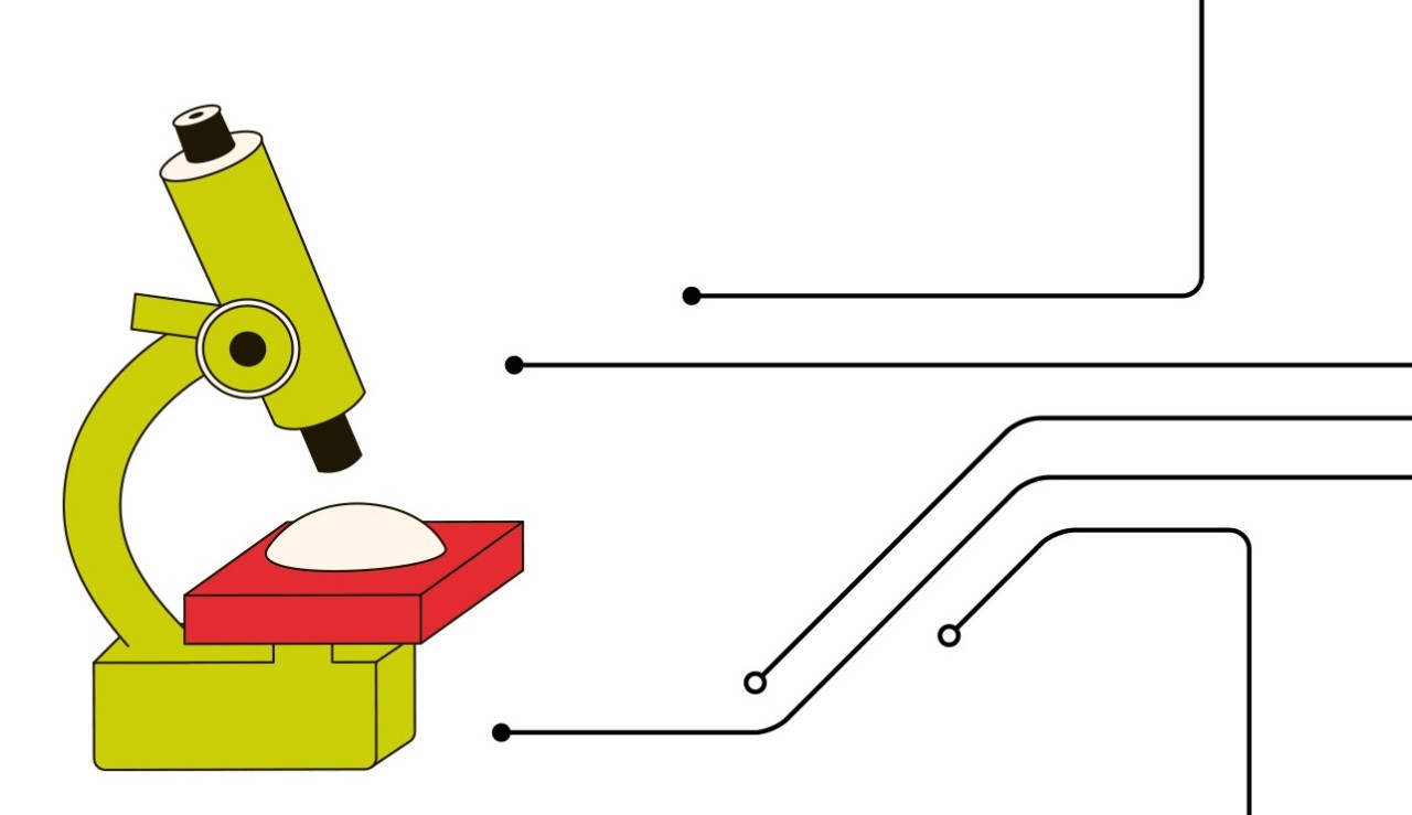 Illustration eines Mikroskops