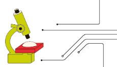 Illustration eines Mikroskops