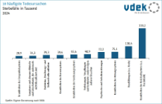 Säulengrafik zeigt die zehn häufigsten Todesursachen 2024