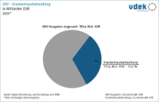 Kreisdiagramm zeigt den Anteil der Ausgaben für Krankenhausbehandlung an gesamten GKV-Ausgaben 2025
