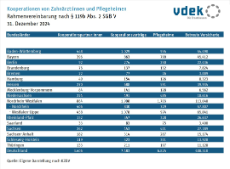 Die Tabelle zeigt die Kooperationen von Zahnärzten und Pflegeheimen nach Kooperationspartnern, Kooperationsverträgen, Pflegeheimen und betreuten Versicherten zum 31.12.2024
