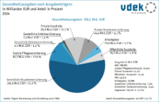 Das Kreisdiagramm zeigt Gesundheitsausgaben nach Ausgabenträgern in Milliarden Euro in 2024
