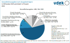 Kreisdiagramm zeigt die Verteilung der Gesundheitsausgaben auf die Ausgabenträger 2022