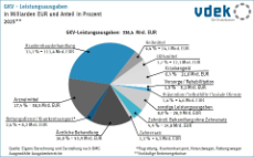 Kreisdiagramm zeigt GKV-Leistungsausgaben in Milliarden Euro und in Prozent 2025