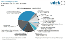 Kreisdiagramm zeigt GKV-Leistungsausgaben in Milliarden Euro und in Prozent 2024
