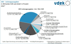 Kreisdiagramm zeigt GKV-Leistungsausgaben in Milliarden Euro und in Prozent 2024