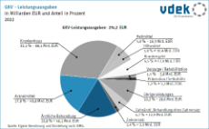 Kreisdiagramm zeigt die wichtigsten GKV-Leistungsausgaben 2022