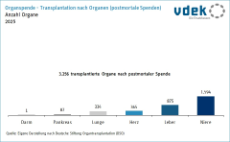 Säulendiagramm zeigt Transplantationen nach Organen durch postmortale Spenden 2025