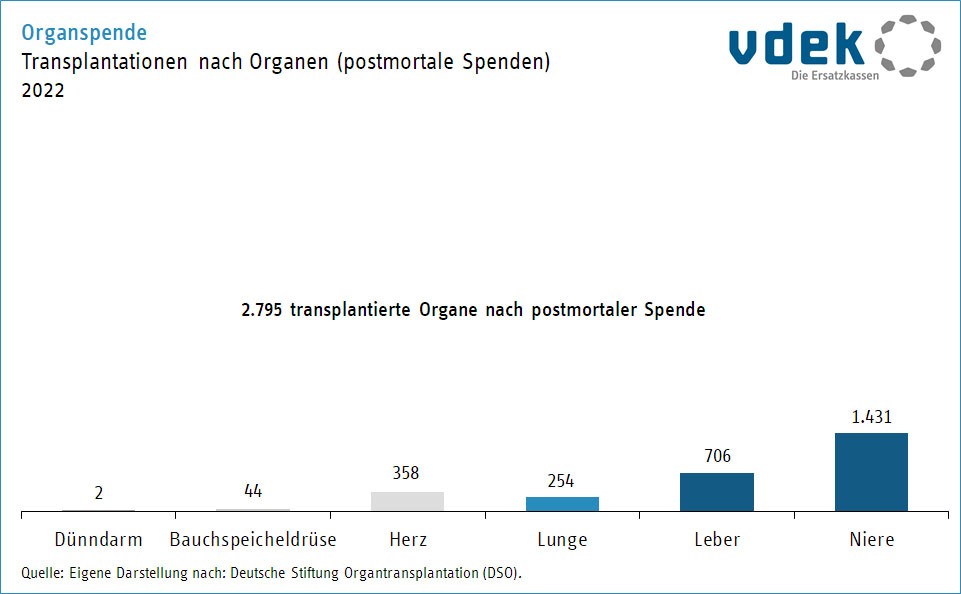 Säulendiagramm zeigt die Zahl der Transplantationen nach Organen 2022
