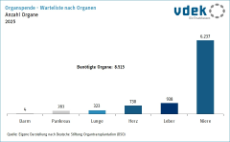 Säulendiagramm zeigt die Warteliste nach Organen im Jahr 2025