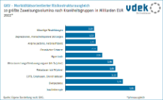 Säulendiagramm zeigt die 10 größten Zuweisungsvolumina nach Krankheitsgruppen im morbiditätsorientierten Risikostrukturausgleich 2022