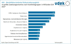 Säulendiagramm zeigt die zehn größten Zuweisungsvolumina nach Krankheitsgruppen im morbiditätsorientierten Risikostrukturausgleich 2023