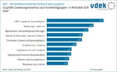 Säulendiagramm zeigt die zehn größten Zuweisungsvolumina nach Krankheitsgruppen im morbiditätsorientierten Risikostrukturausgleich 2024