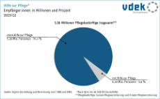 Kreisdiagramm zeigt Anteil der Empfänger von Hilfe zur Pflege an Gesamtheit der Pflegebedürftigen zu Jahresende 2023