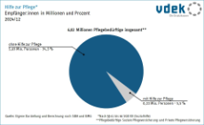 Kreisdiagramm zeigt Anteil der Empfänger von Hilfe zur Pflege an Gesamtheit der Pflegebedürftigen zu Jahresende 2024