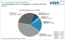 Kreisdiagramm zur ambulanten und teilstationären Pflege zeigt Verteilung der Leistungsempfänger:innen nach Pflegegraden in Tausend und Prozent in 2023/12