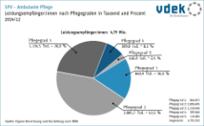 Kreisdiagramm zeigt die Leistungsempfänger der sozialen Pflegeversicherung in der ambulanten Pflege nach Pflegegraden 2024/12