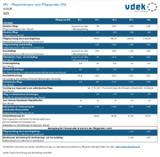 SPV - Pflegeleistungen nach Pflegegraden (PG) in EUR 2025