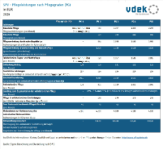 SPV - Pflegeleistungen nach Pflegegraden (PG) in EUR 2026