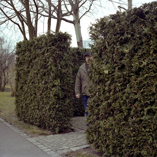 Eingang zu einem Hecken-Irrgarten mit einem halbverdeckten Mann, der aus dem Irrgarten hinaustritt.