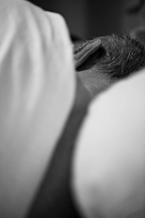 Blick von hinten auf eine liegende ältere Person, von der nur ein Teil des Hinterkopfes und ein Ohr erkennbar ist.