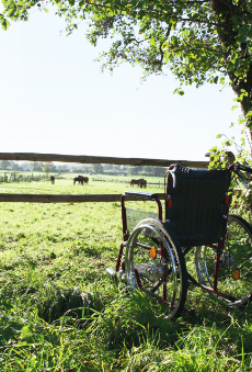 Leerer Rollstuhl am Zaun einer Weide