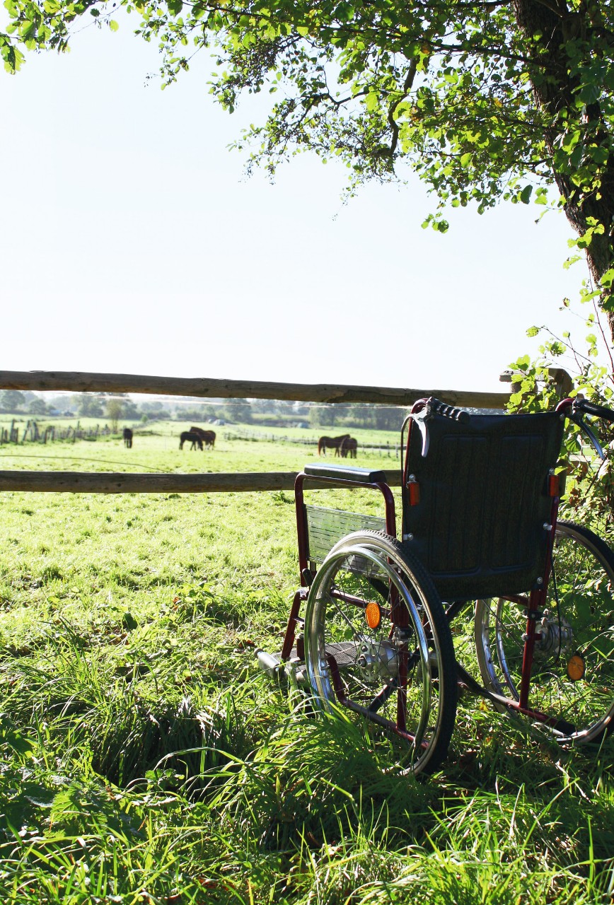 Leerer Rollstuhl am Zaun einer Weide