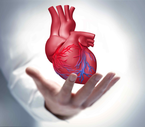 Hand mit rotem Herz Hand mit rotem Herz