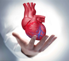 Hand mit rotem Herz Hand mit rotem Herz