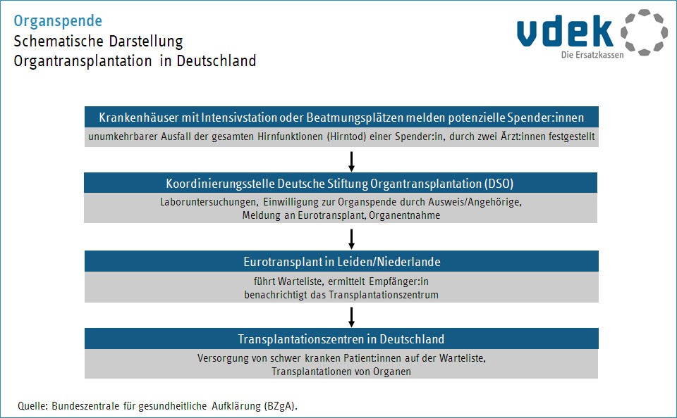 Schematische Darstellung Organtransplantation in Deutschland