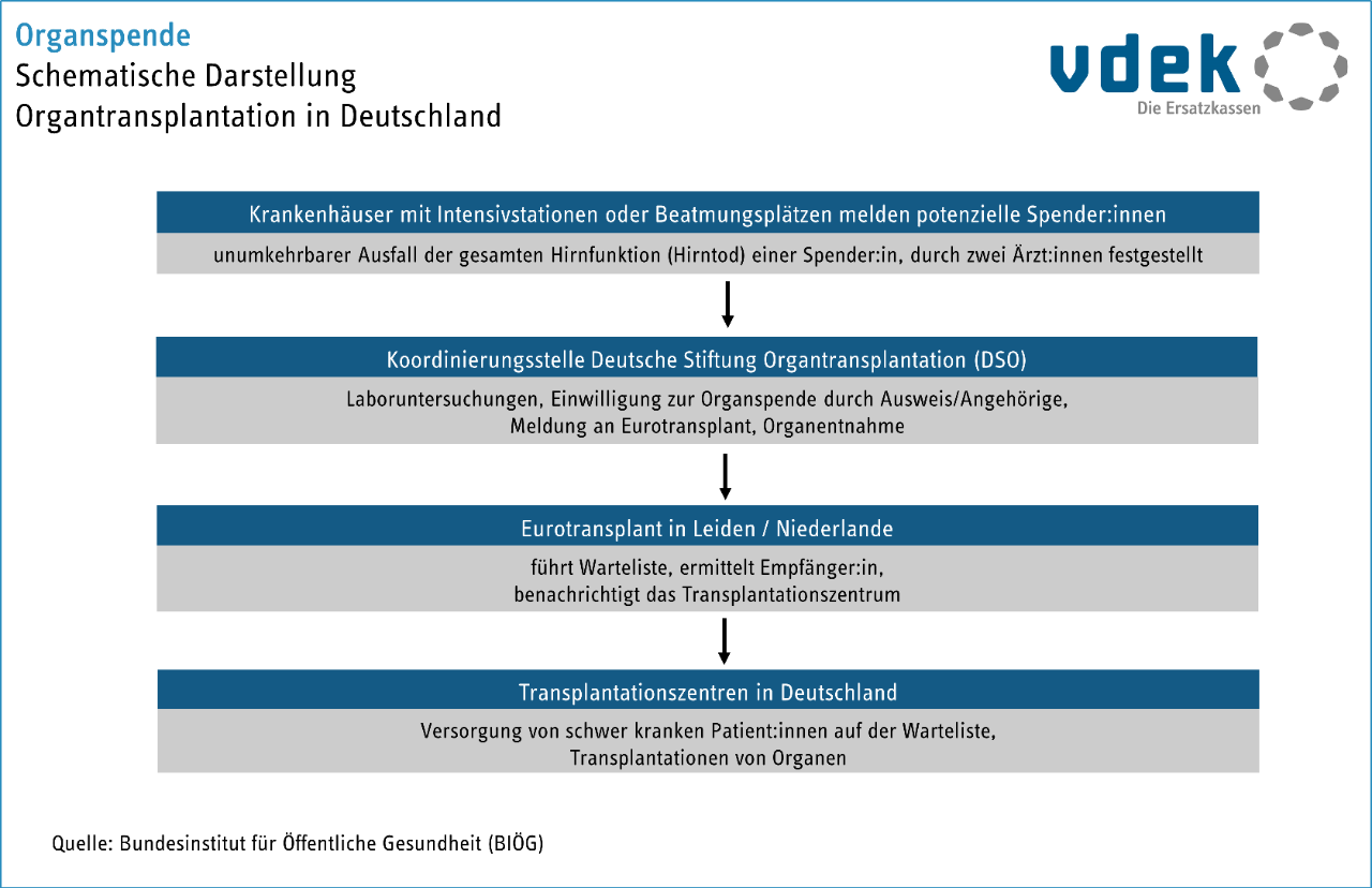 Schematische Darstellung: Organtransplantation in Deutschland