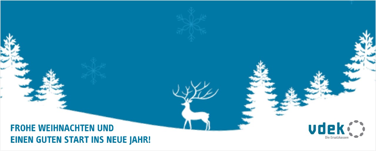 Grußkarte: Weihnachts- und Festtagswünsche des vdek (Dezember 2025)