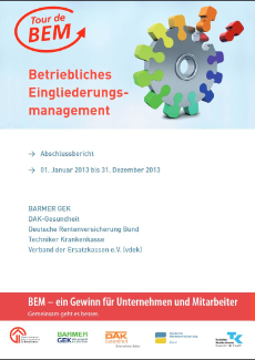 bem-abschlussbericht-2013