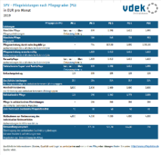 E9_2018_spv_leistungen_nach_pflegegraden_2019_tabelle