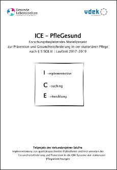 Cover Projektbeschreibung ICE-PfleGesund vdek Cover Projektbeschreibung ICE-PfleGesund vdek